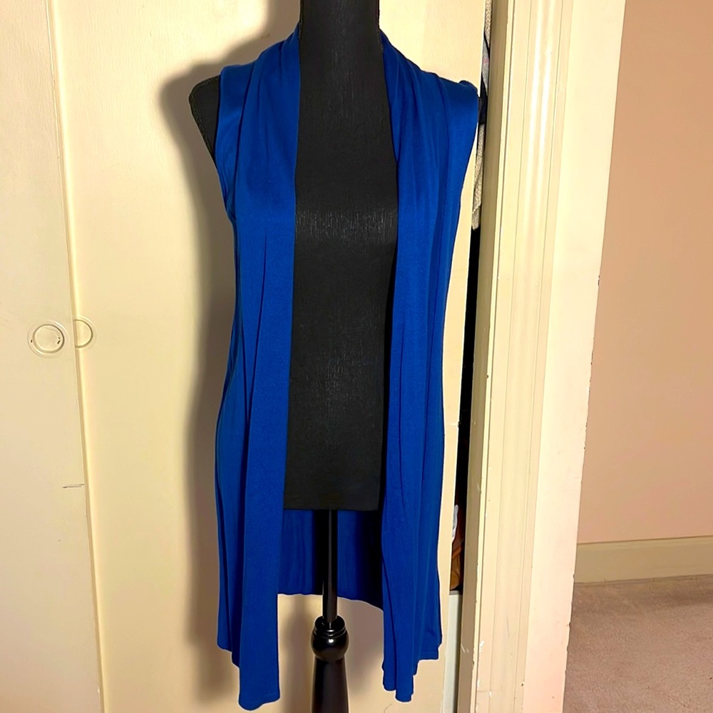 Sleeveless, mid-length, cobalt blue sweater vest.